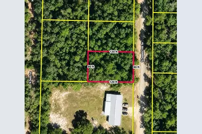 6600 N Pagoda Tree Terrace, Hernando, FL 34442 - Photo 4