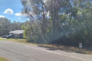 6600 N Pagoda Tree Terrace, Hernando, FL 34442 - Photo 1