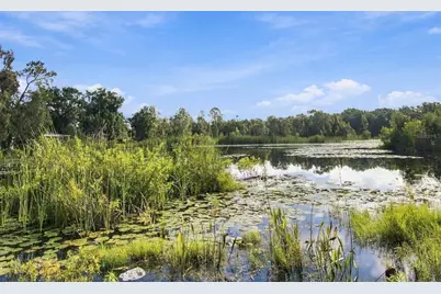 6210 Land O Lakes Boulevard, Land O Lakes, FL 34638 - Photo 10