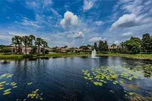 4008 Silk Oak Ln, Palm Harbor, FL 34685 - Photo 58