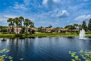 4008 Silk Oak Ln, Palm Harbor, FL 34685 - Photo 56
