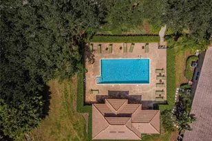 4008 Silk Oak Ln, Palm Harbor, FL 34685 - Photo 52