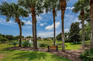 4008 Silk Oak Ln, Palm Harbor, FL 34685 - Photo 56