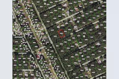 3551 E Baxley Place, Inverness, FL 34453 - Photo 2