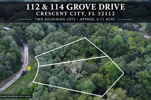 112 & 114 Grove Dr, Crescent City, FL 32112 - Photo 1