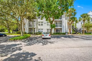 3300 Haviland Ct, Palm Harbor, FL 34684 - Photo 46