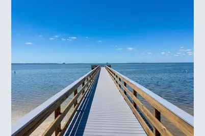 202 S Mayo Street, Crystal Beach, FL 34681 - Photo 64