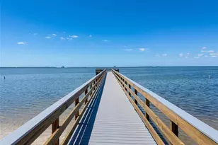 202 S Mayo St, Crystal Beach, FL 34681 - Photo 64