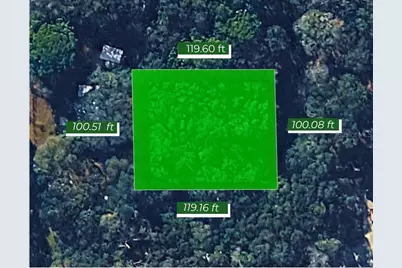 2449 S Creason Terrace, Inverness, FL 34452 - Photo 4