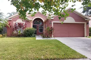 28837 Raindance Ave, Wesley Chapel, FL 33543 - Photo 1