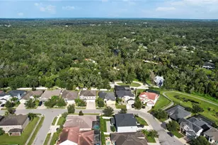 6706 Riverside Bluffs Dr, Riverview, FL 33578 - Photo 50