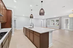 6035 Nikki Ln, Odessa, FL 33556 - Photo 4