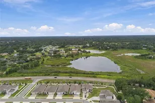23182 Scaglione Dr, Lutz, FL 33549 - Photo 76