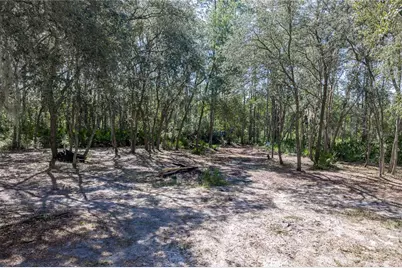 10898 NE 220th Street, Fort Mc Coy, FL 32134 - Photo 40