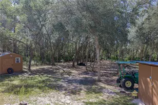 10898 NE 220th St, Fort Mc Coy, FL 32134 - Photo 62