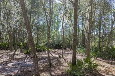 10898 NE 220th Street, Fort Mc Coy, FL 32134 - Photo 72