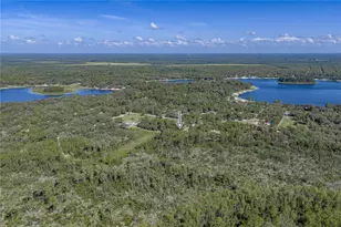 10898 NE 220th St, Fort Mc Coy, FL 32134 - Photo 82