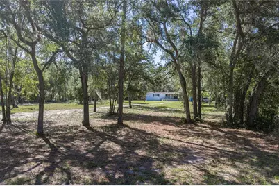 10898 NE 220th Street, Fort Mc Coy, FL 32134 - Photo 50
