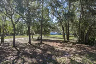 10898 NE 220th St, Fort Mc Coy, FL 32134 - Photo 50