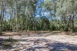 10898 NE 220th St, Fort Mc Coy, FL 32134 - Photo 66