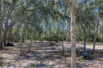 10898 NE 220th Street, Fort Mc Coy, FL 32134 - Photo 42
