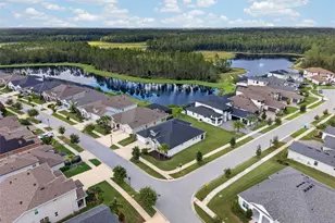 3210 Tour Trce, Land O Lakes, FL 34638 - Photo 76