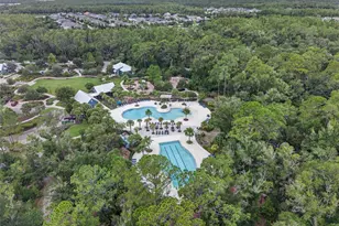 3210 Tour Trce, Land O Lakes, FL 34638 - Photo 90