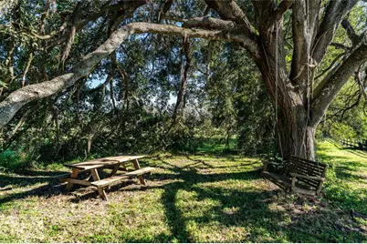 32305 Pasco Road, San Antonio, FL 33576 - Photo 78