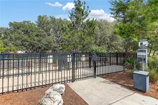 4000 Burdick Loop, Odessa, FL 33556 - Photo 72