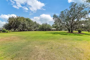 4000 Burdick Loop, Odessa, FL 33556 - Photo 74