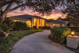 3763 Executive Dr, Palm Harbor, FL 34685 - Photo 8