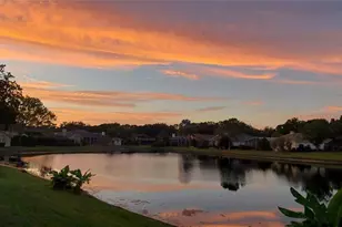 3763 Executive Dr, Palm Harbor, FL 34685 - Photo 56