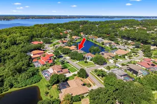 3763 Executive Dr, Palm Harbor, FL 34685 - Photo 2