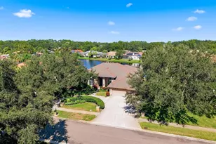3763 Executive Dr, Palm Harbor, FL 34685 - Photo 58