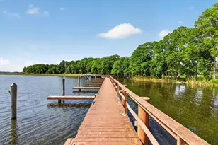 3763 Executive Dr, Palm Harbor, FL 34685 - Photo 68