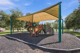 20746 Auburn Leaf Tr, Land O Lakes, FL 34638 - Photo 78
