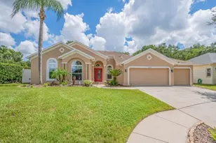 1001 Split Silk St, Valrico, FL 33594 - Photo 1
