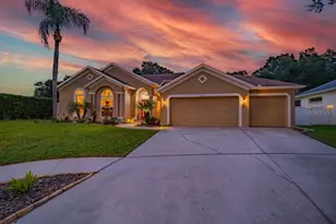 1001 Split Silk St, Valrico, FL 33594 - Photo 46