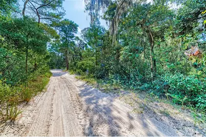 10136 E Tuliptree Drive, Inverness, FL 34450 - Photo 6