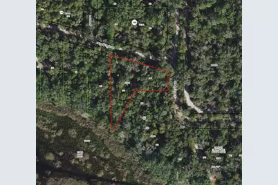 10136 E Tuliptree Drive, Inverness, FL 34450 - Photo 4