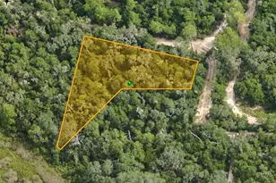 10136 E Tuliptree Dr, Inverness, FL 34450 - Photo 1