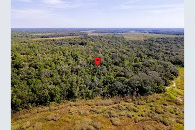 10136 E Tuliptree Drive, Inverness, FL 34450 - Photo 8