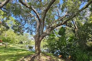 10495 Longwood Dr, Largo, FL 33777 - Photo 48