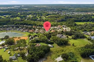 2912 Devonoak Blvd, Land O Lakes, FL 34638 - Photo 62