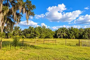 20901 Lonesome Acre Rd, Wimauma, FL 33598 - Photo 16