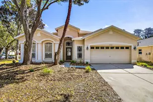 6002 Martinglade Pl, Lithia, FL 33547 - Photo 1