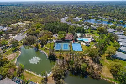 6002 Martinglade Place, Lithia, FL 33547 - Photo 56