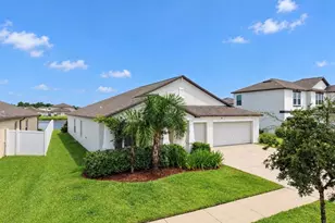 11911 Field Thistle Ct, Riverview, FL 33579 - Photo 4