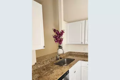 3165 Phlox Drive, Palm Harbor, FL 34684 - Photo 10