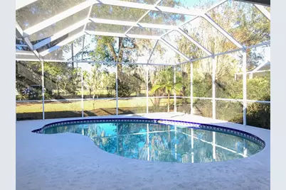 3703 Turkey Oak Drive, Valrico, FL 33596 - Photo 24